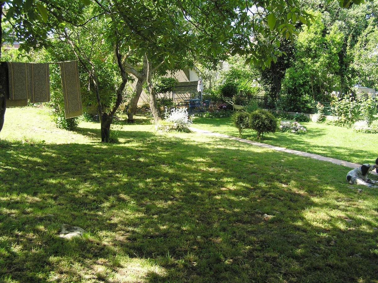 Istriensonne - Apartments Lucano ميدولين المظهر الخارجي الصورة